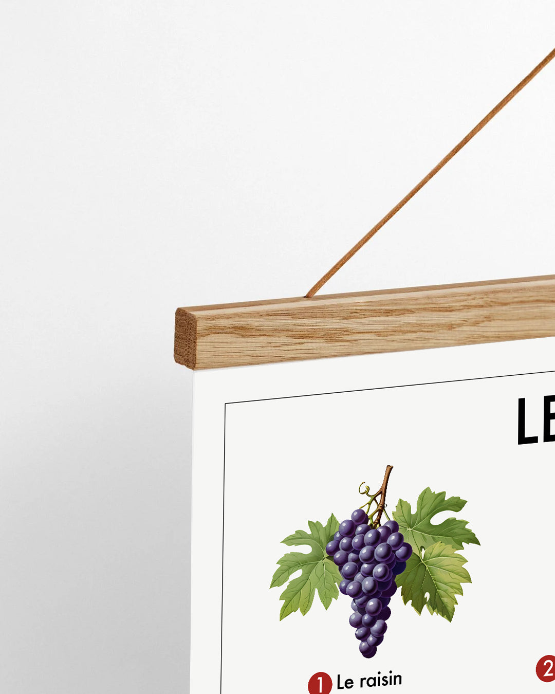 Planche scolaire - Le vin