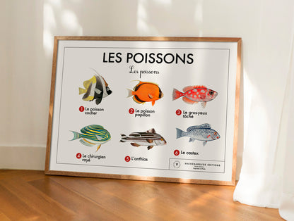 Planche scolaire - Les poissons