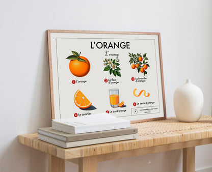 Planche scolaire - L'orange