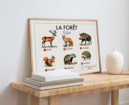Planche scolaire - La forêt