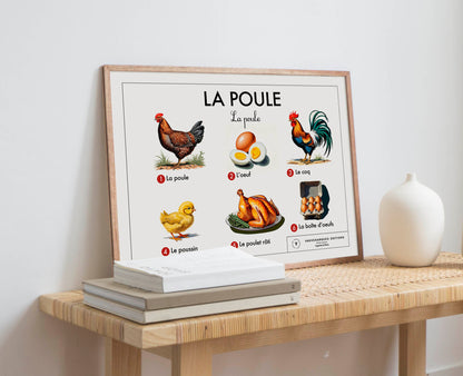 Planche scolaire - La poule