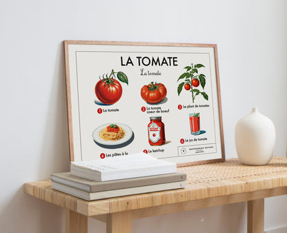 Planche scolaire - La tomate