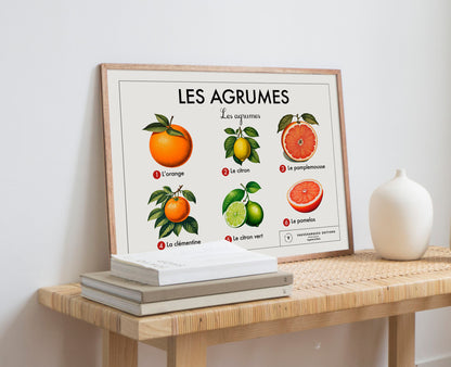 Planche scolaire - Les agrumes