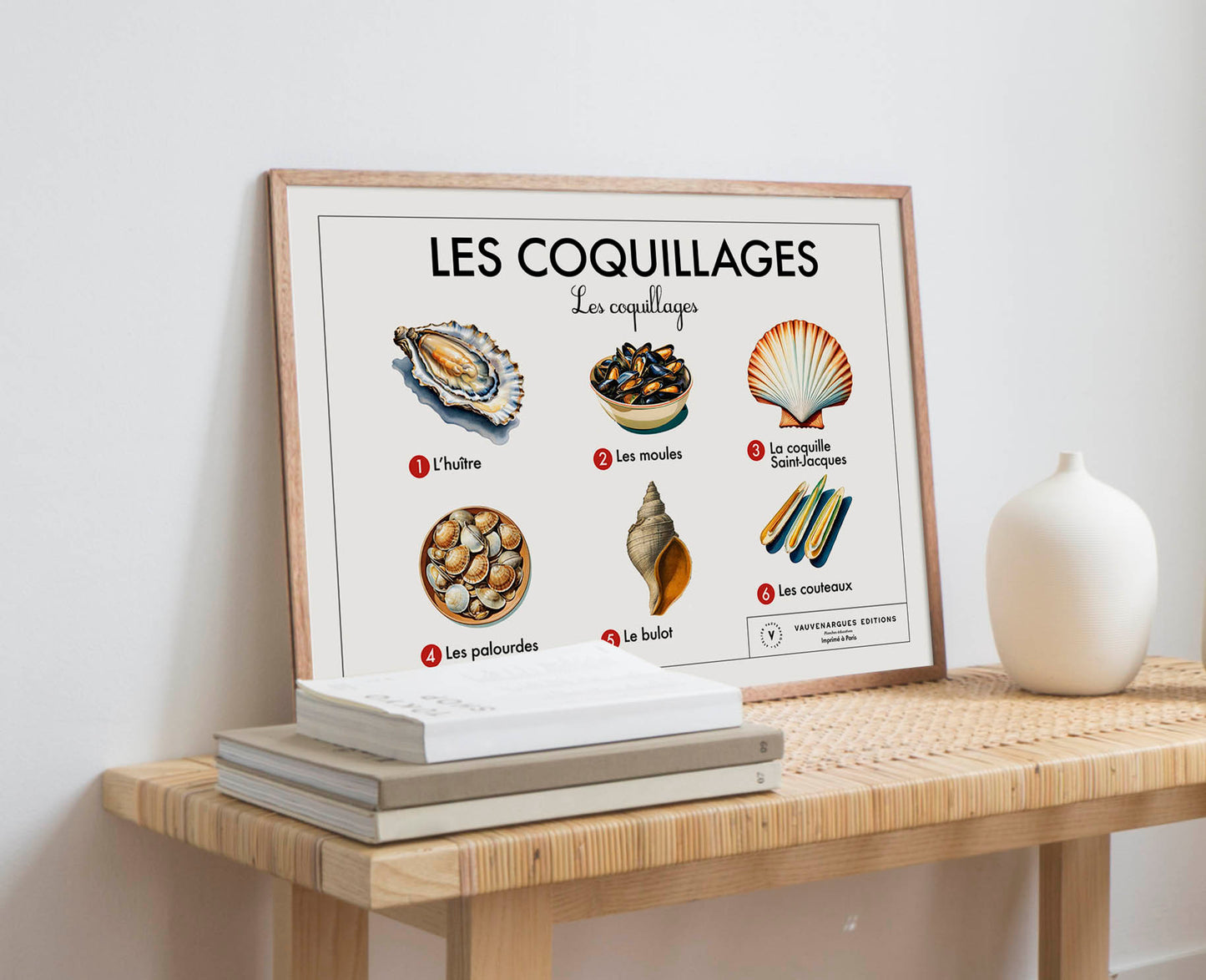 Planche scolaire - Les coquillages