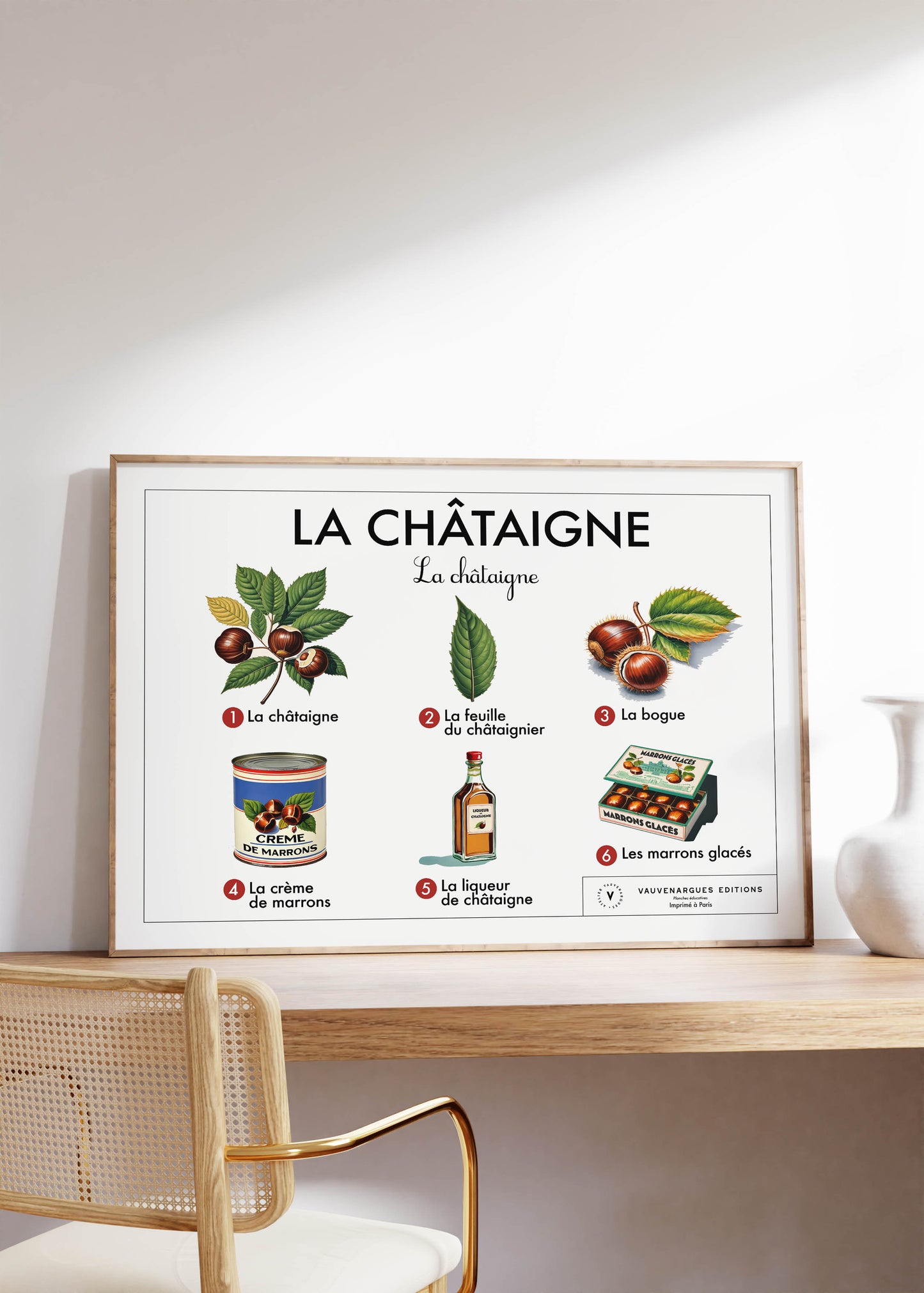 Planche scolaire - La châtaigne