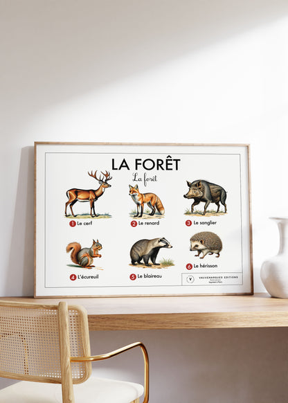 Planche scolaire - La forêt