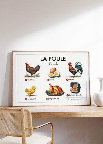 Planche scolaire - La poule