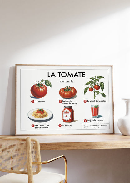 Planche scolaire - La tomate