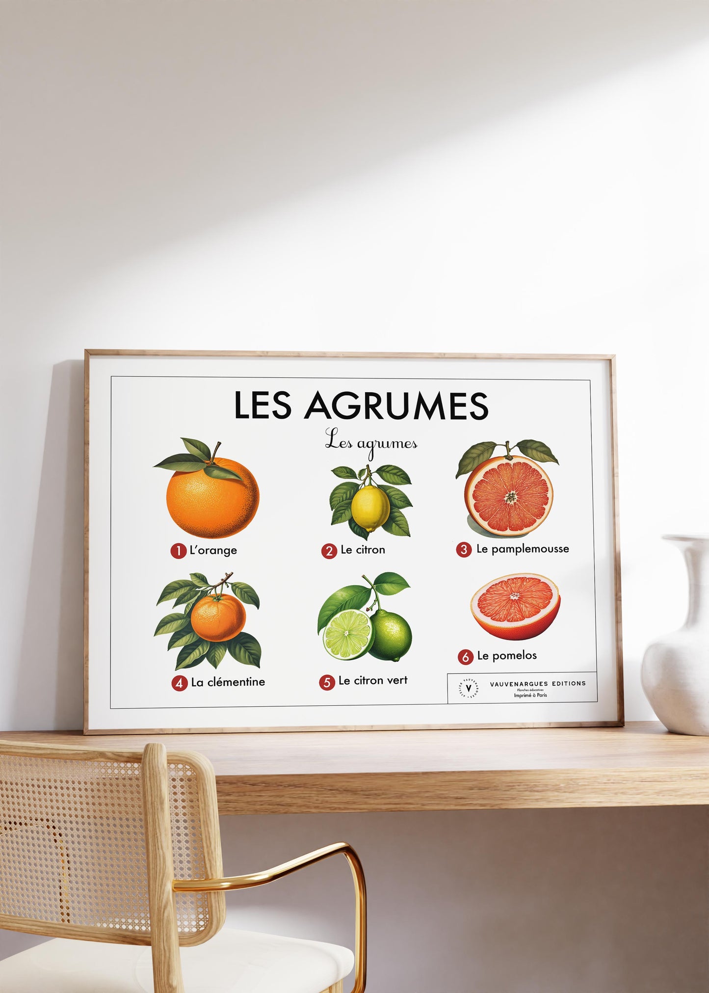 Planche scolaire - Les agrumes