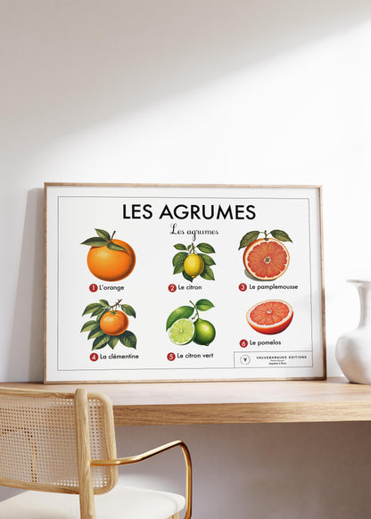 Planche scolaire - Les agrumes