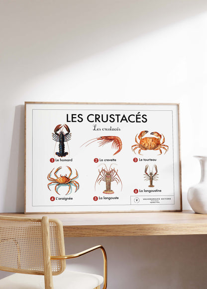 Planche scolaire - Les crustacés