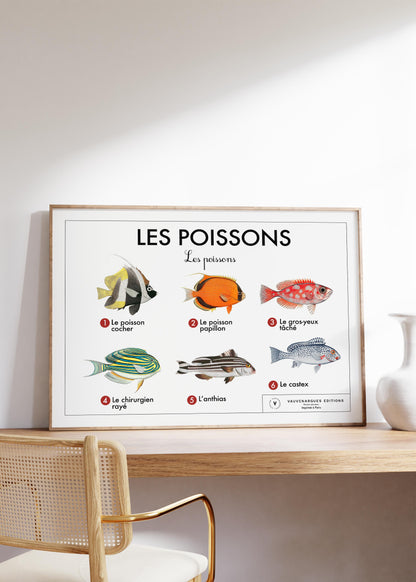 Planche scolaire - Les poissons