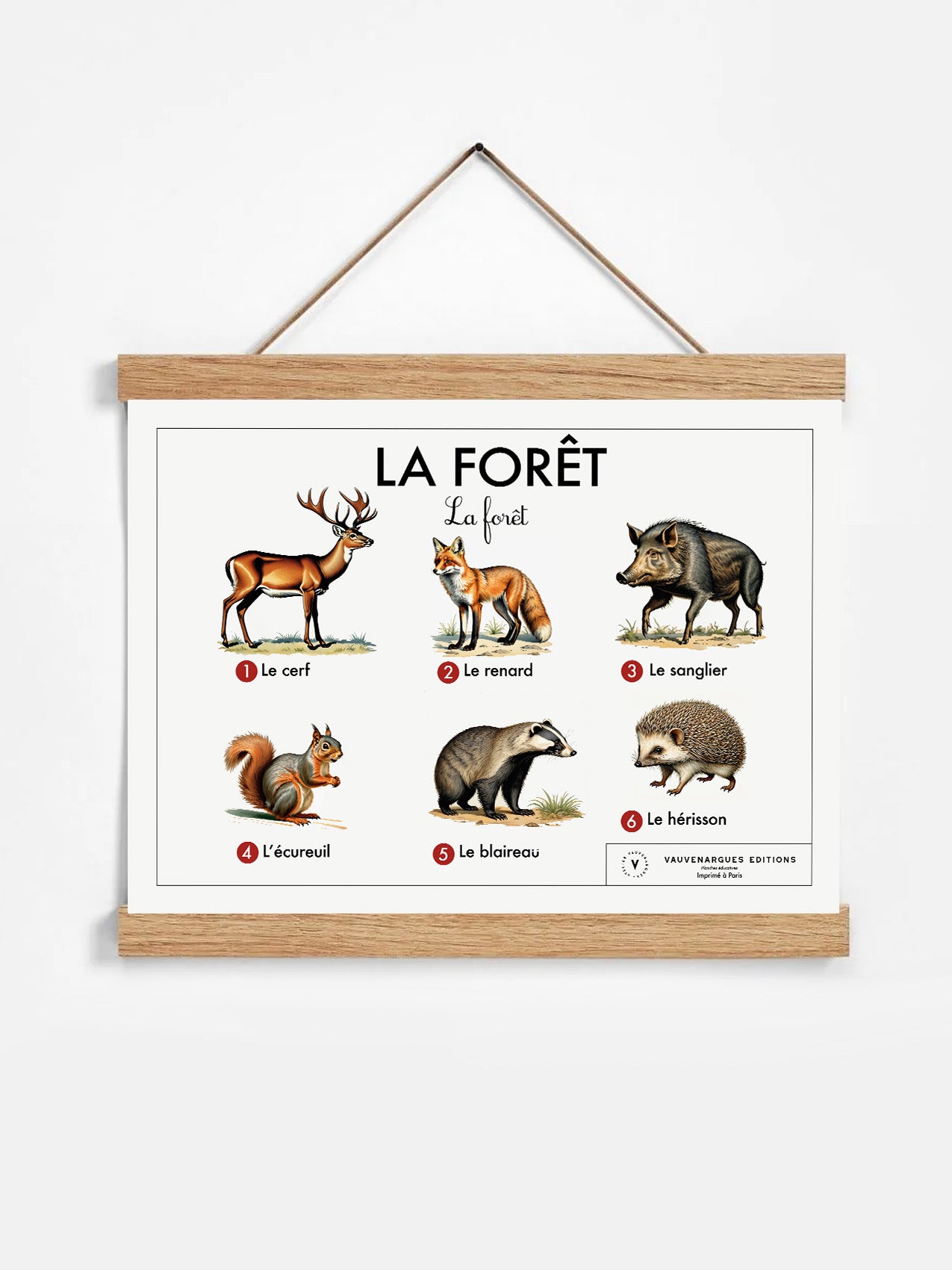 Planche scolaire - La forêt