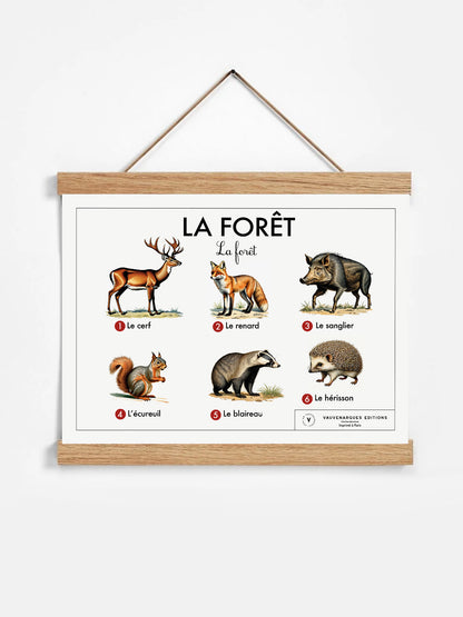 Planche scolaire - La forêt