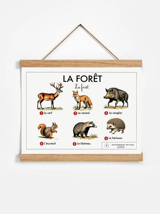 Planche scolaire - La forêt