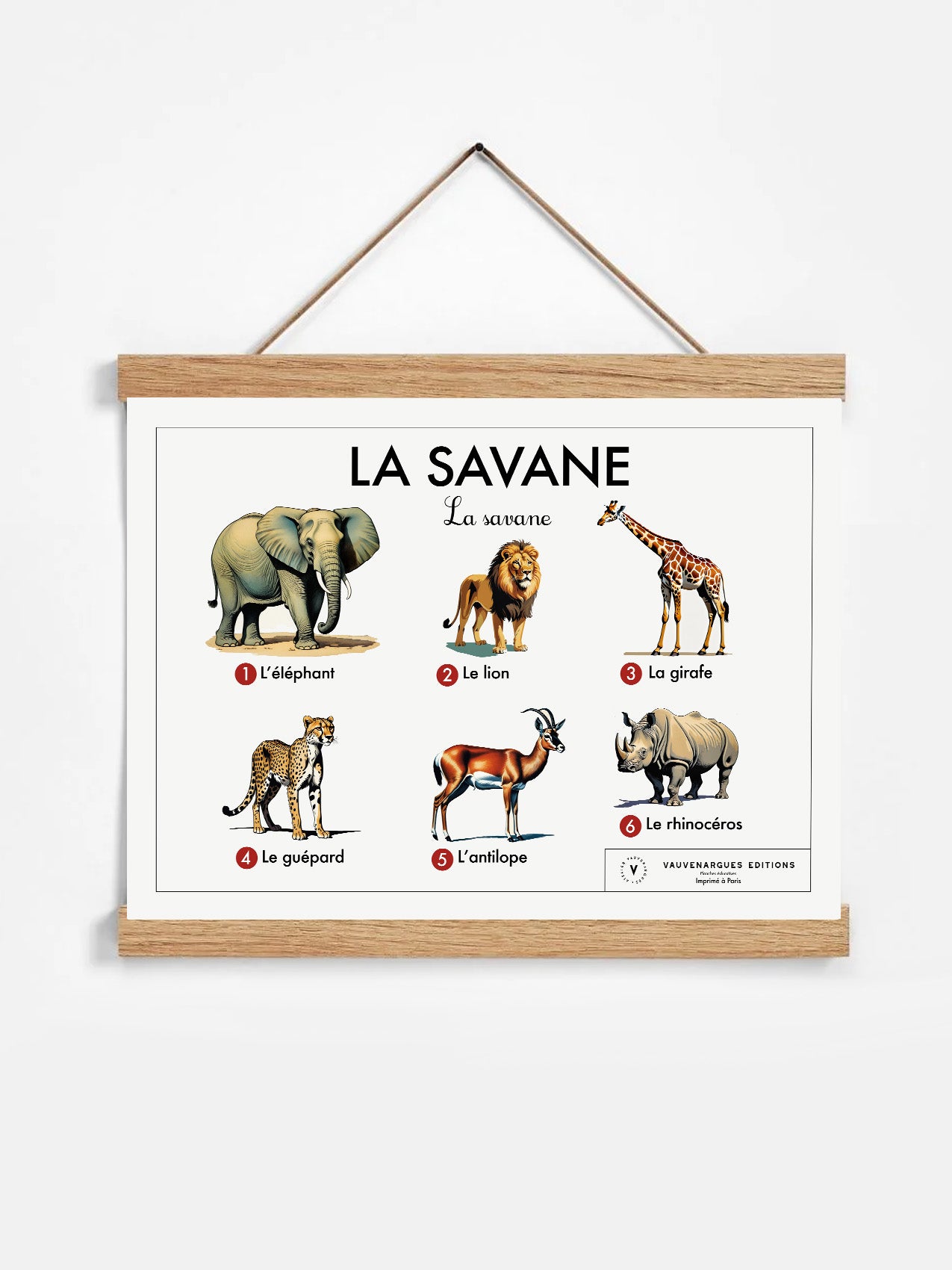 Planche scolaire - La savane