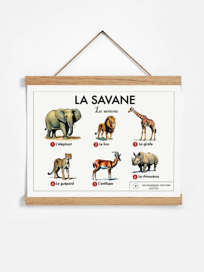 Planche scolaire - La savane