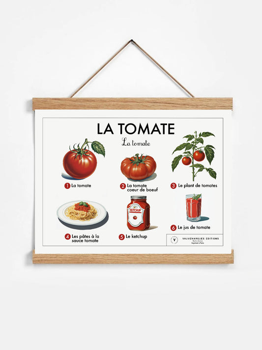 Planche scolaire - La tomate