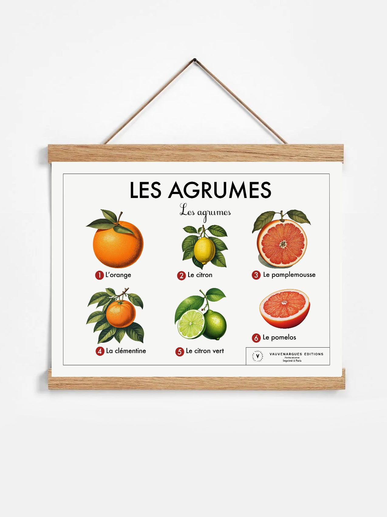 Planche scolaire - Les agrumes