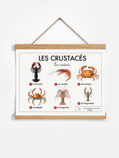 Planche scolaire - Les crustacés