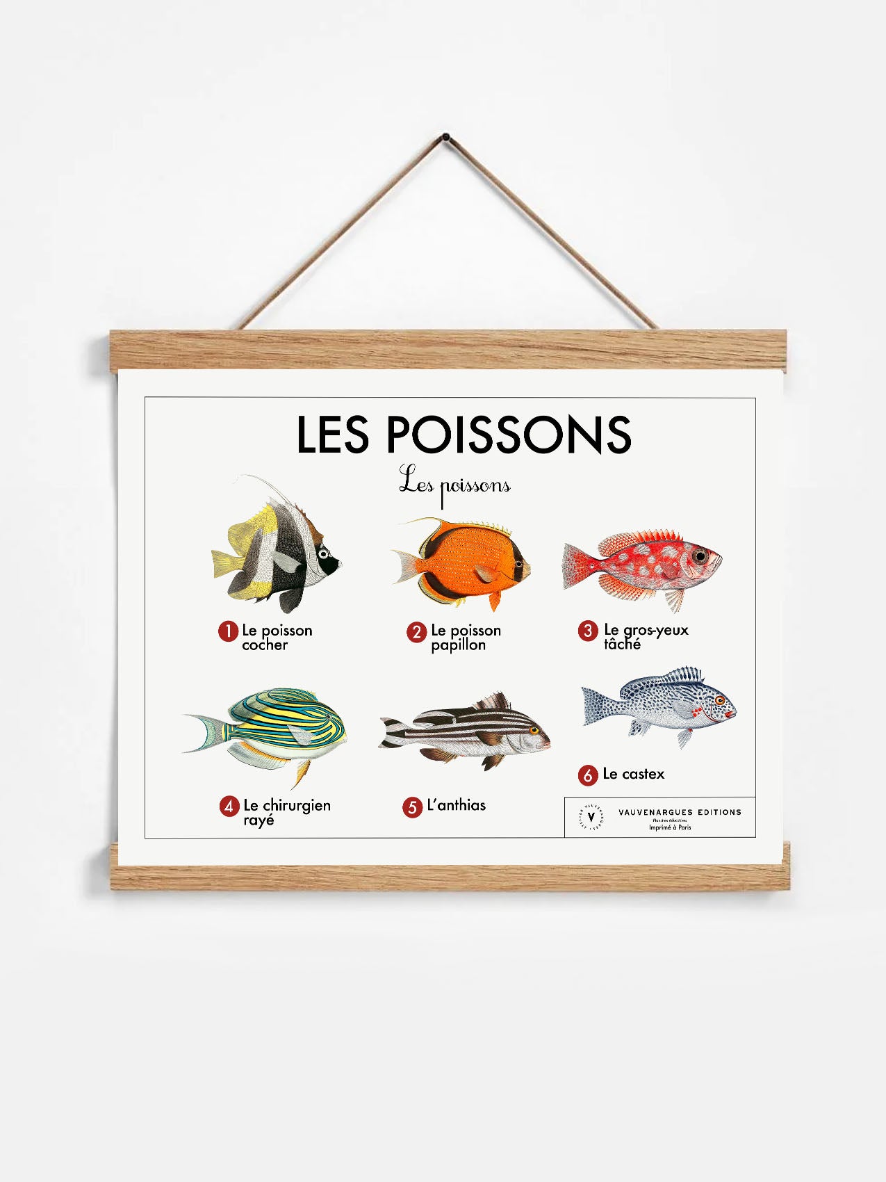 Planche scolaire - Les poissons