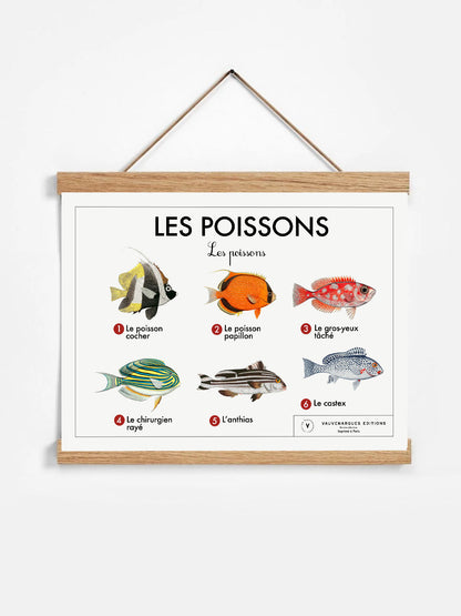 Planche scolaire - Les poissons