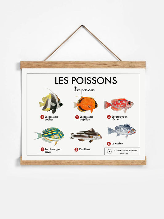 Planche scolaire - Les poissons