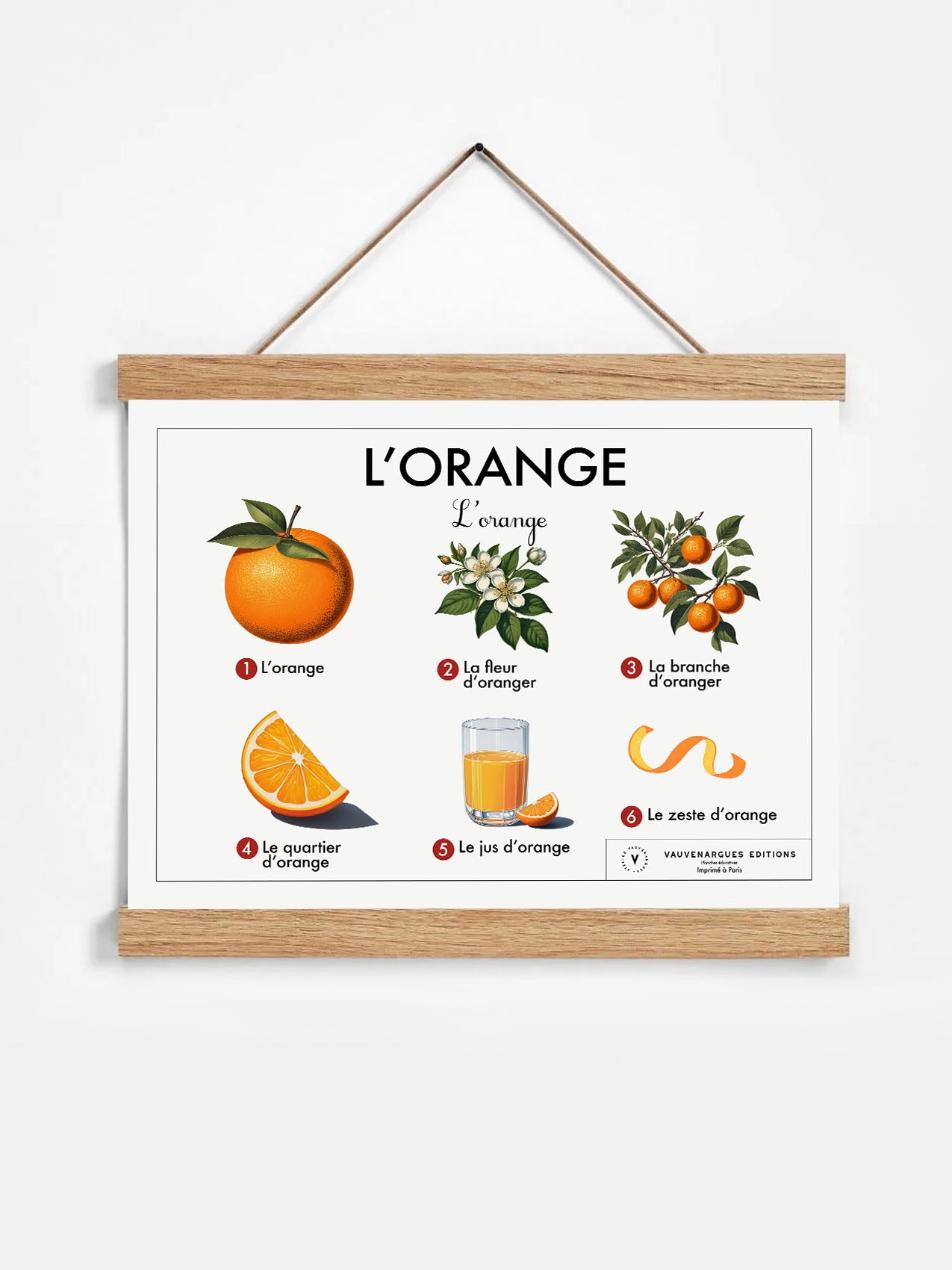 Planche scolaire - L'orange