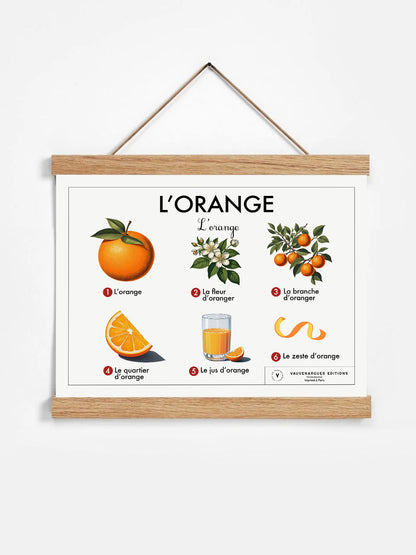 Planche scolaire - L'orange