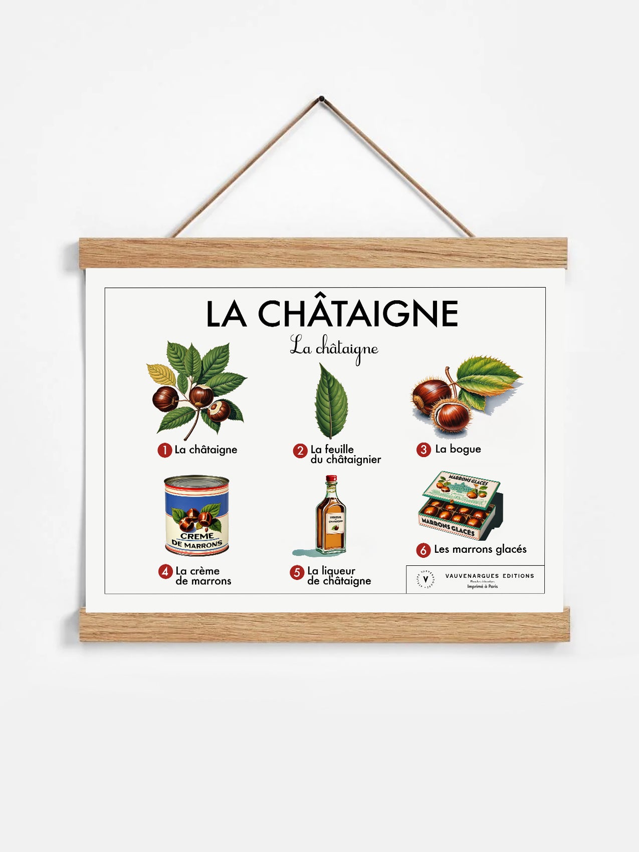 Planche scolaire - La châtaigne