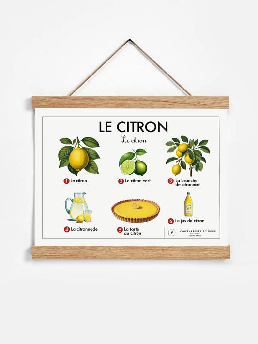 Planche scolaire - Le citron