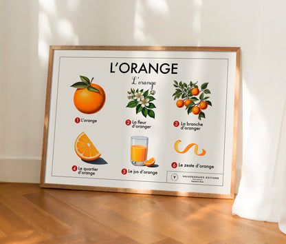 Planche scolaire - L'orange