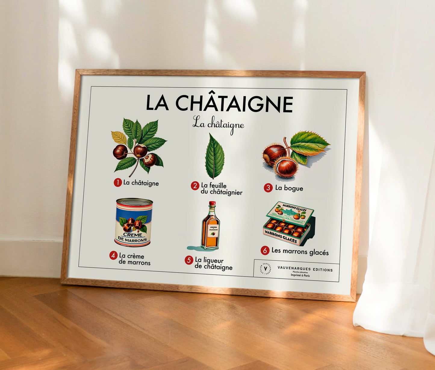 Planche scolaire - La châtaigne