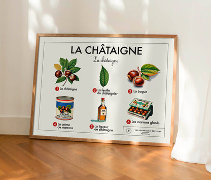 Planche scolaire - La châtaigne