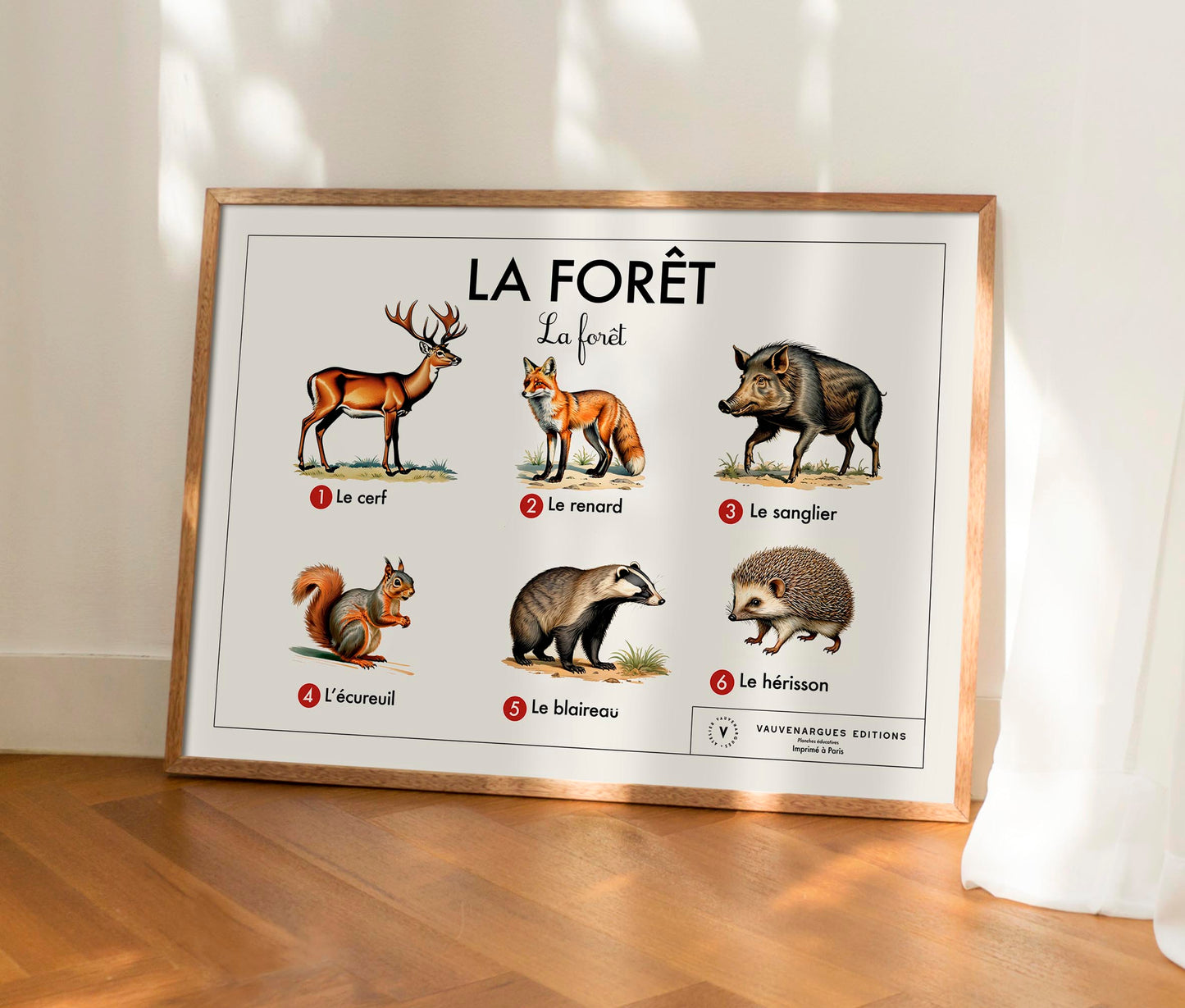 Planche scolaire - La forêt