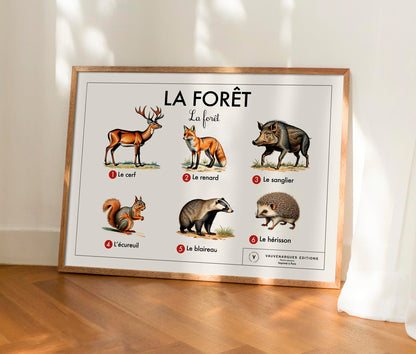 Planche scolaire - La forêt