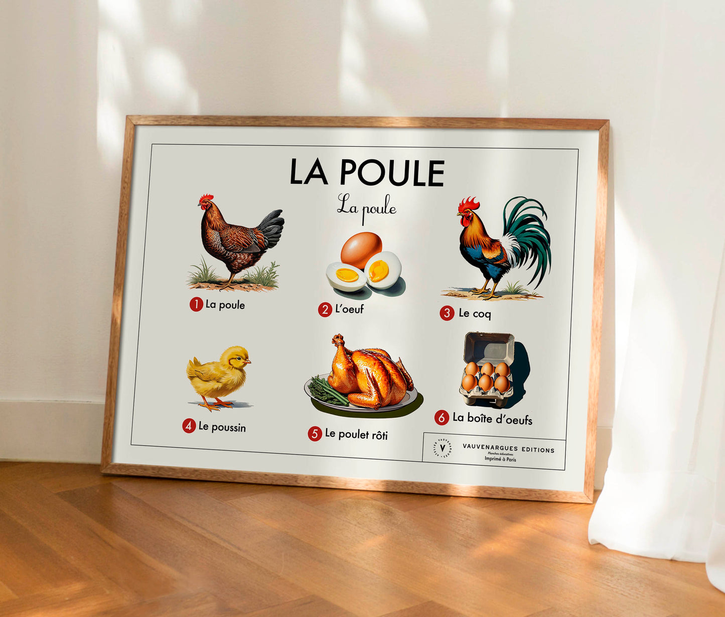 Planche scolaire - La poule