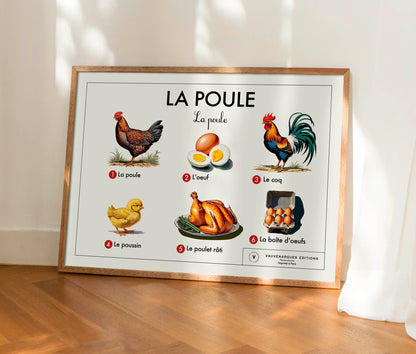 Planche scolaire - La poule