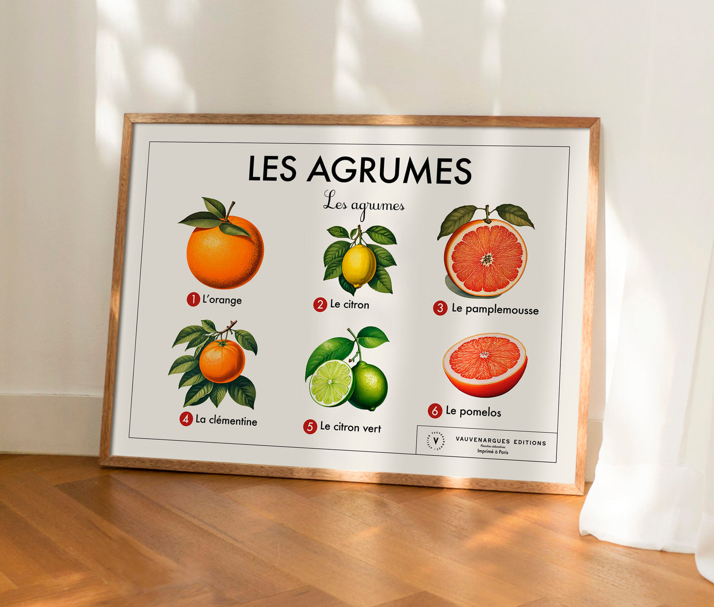 Planche scolaire - Les agrumes