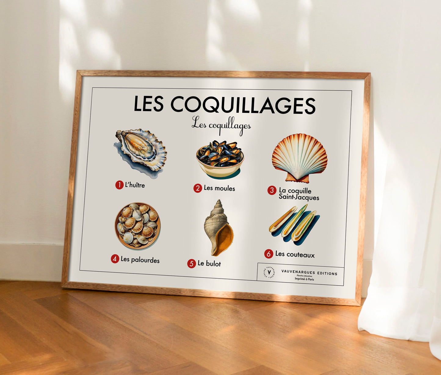 Planche scolaire - Les coquillages