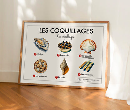 Planche scolaire - Les coquillages