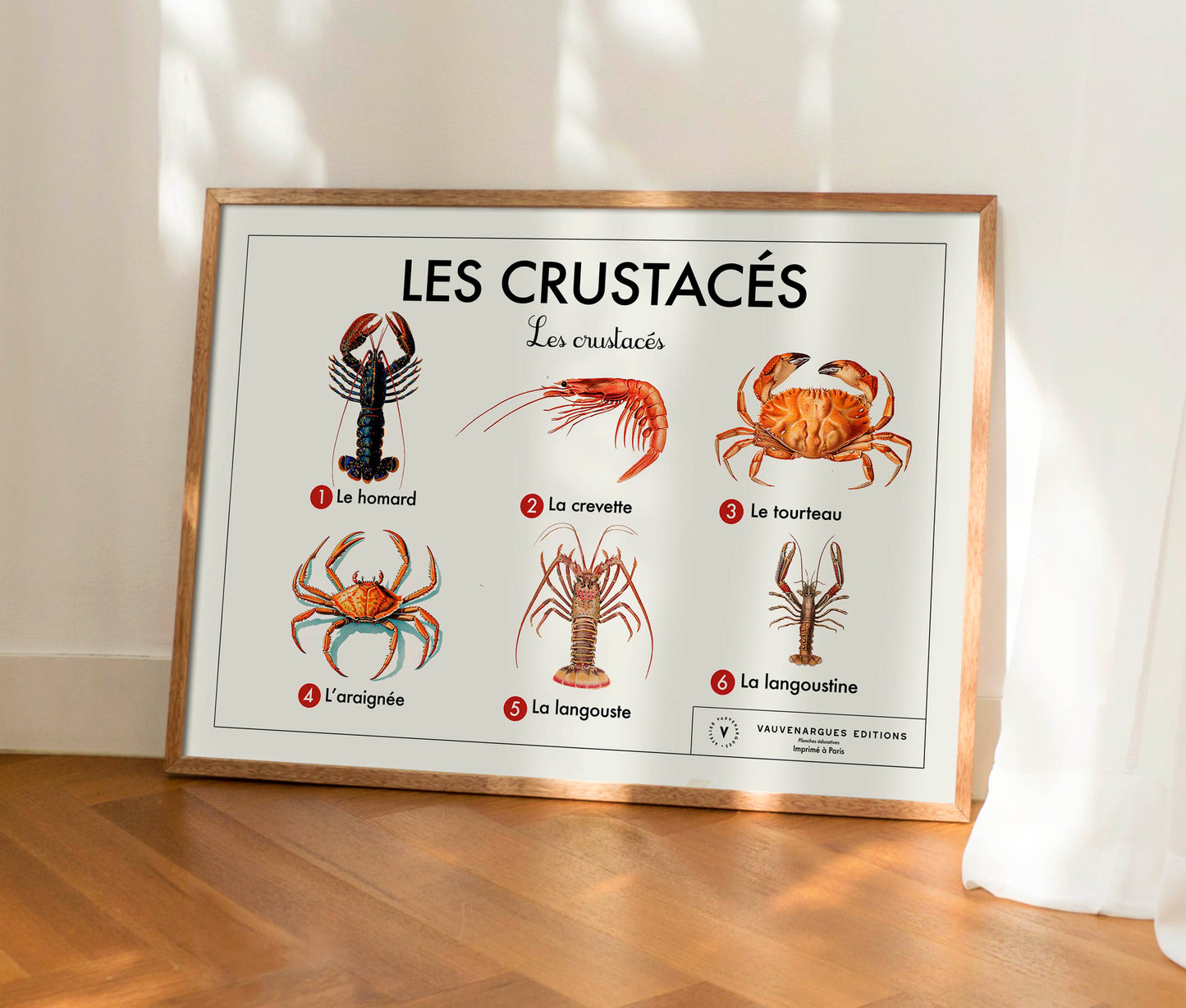 Planche scolaire - Les crustacés