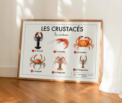 Planche scolaire - Les crustacés