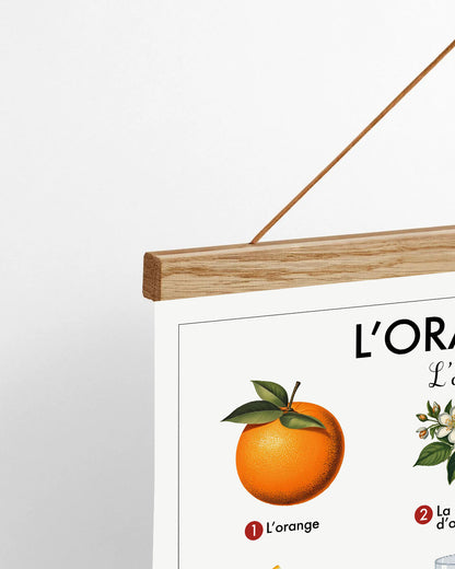 Planche scolaire - L'orange