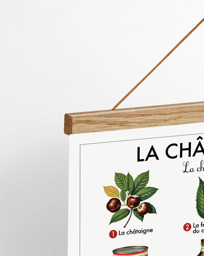 Planche scolaire - La châtaigne