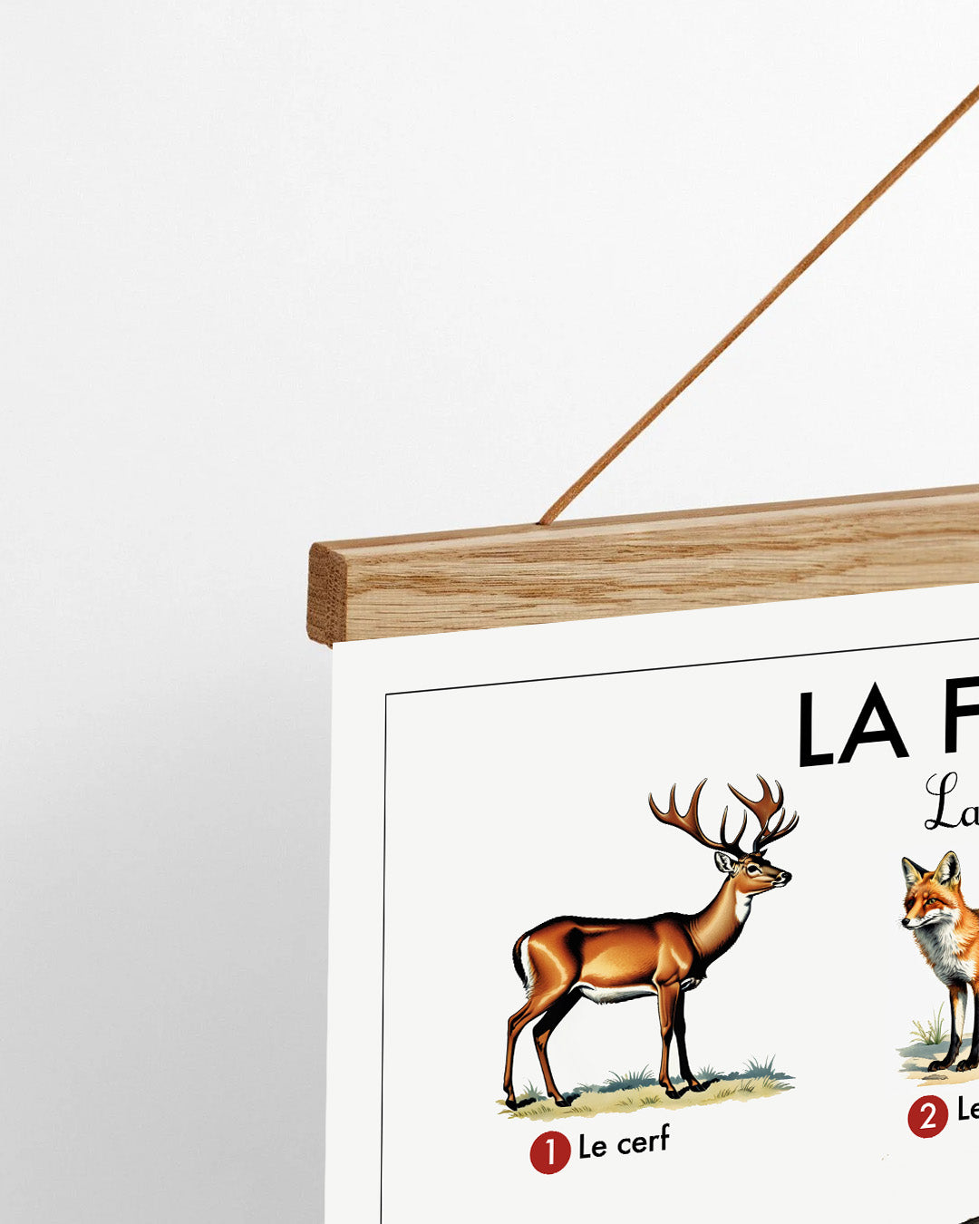 Planche scolaire - La forêt