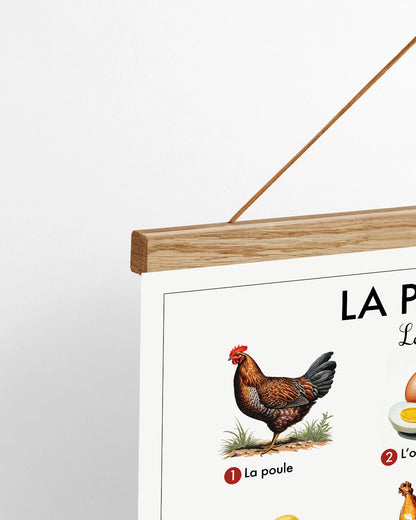 Planche scolaire - La poule