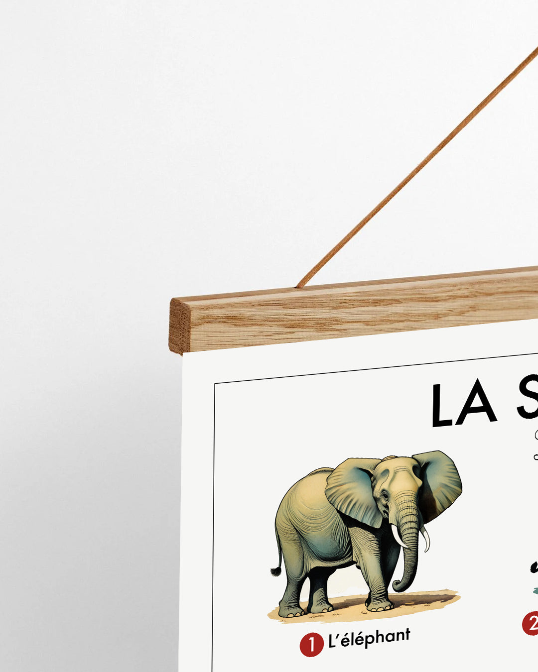 Planche scolaire - La savane