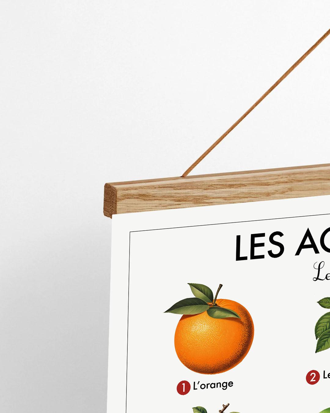 Planche scolaire - Les agrumes