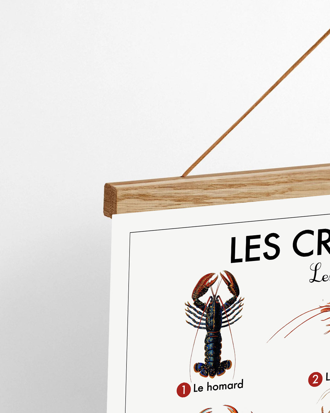 Planche scolaire - Les crustacés